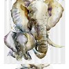 White Elephant With Sunflowers Shower Curtain, Wild Animal Print Bathroom Accessory 