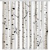 White Forest Birch Tree Shower Curtain With Seasonal Trees And Trunks Print, Bathroom Decor