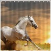 White Horse at Sunset Shower Curtain for Equestrian Bathroom Decor
