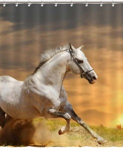 White Horse at Sunset Shower Curtain for Equestrian Bathroom Decor