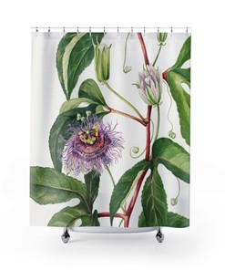 White Passionflower Shower Curtain With Vintage Botanical Prints For A Classic Bathroom