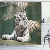 White Tiger Swimming Fun Shower Curtain for Kids' Bathroom