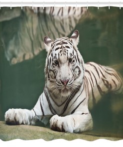 White Tiger Swimming Fun Shower Curtain for Kids' Bathroom