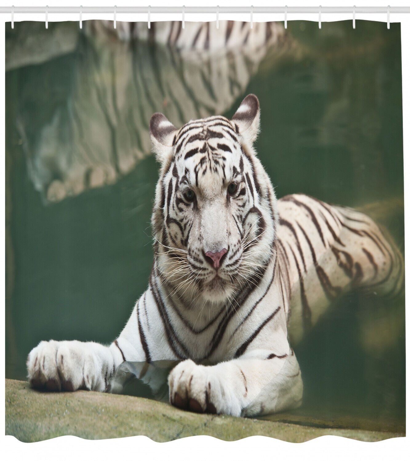 White Tiger Swimming Fun Shower Curtain for Kids' Bathroom