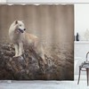 White Wolf On The Rocks Print Animal Shower Curtain For Bathroom Decor