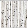 White and Black Birch Tree Shower Curtain, Fabric Showers Curtain for Bathroom Decor