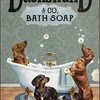 Wiener Dog Bath Time Shower Curtain With Quotes