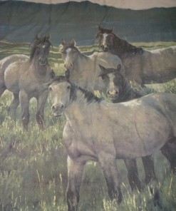 Wild Horse Shower Curtain, Green Grasslands And Mountain View Bathroom Decor