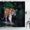 Wild Jungle Tiger Tree Print Shower Curtain for a Bold Bathroom