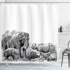 Wild Safari Decor Elephant And Rhino Image Ancient Shower Curtain