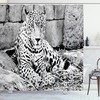Wild Tiger Jaguar Jungle Print Shower Curtain for Unique Bathroom Decor 