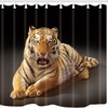 Wild Tiger Shower Curtain For Jungle Themed Bathrooms