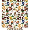 Wild and Organic Shower Curtain with a Pattern of Types of Mushrooms for Nature Lovers
