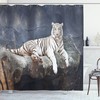 Wildlife Cat on the Rock Shower Curtain for Serene Bathroom Decor