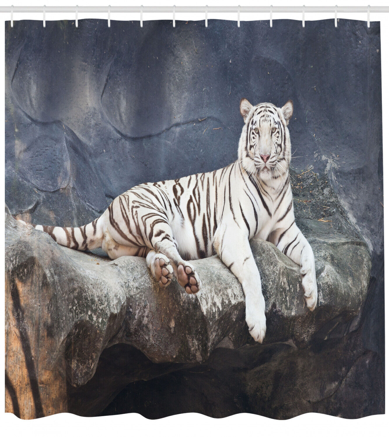 Wildlife Cat on the Rock Shower Curtain for Serene Bathroom Decor