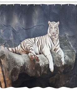 Wildlife Cat on the Rock Shower Curtain for Serene Bathroom Decor