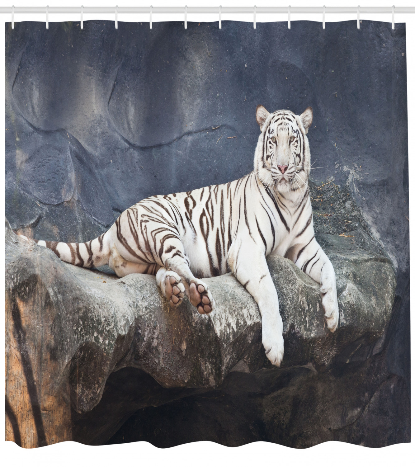 Wildlife Cat on the Rock Shower Curtain for Serene Bathroom Decor