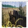 Wildlife Fabric Shower Curtain With Cute Bear Couple Design, Perfect For Nature Lovers