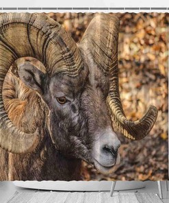 Wildlife Horns Ram Shower Curtain with Decorative Big Horn Sheep and Canadian Sheep Design for Nature Lovers