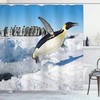 Wildlife Penguin Shower Curtain, Pole Swimming Flying Dancing Family Group Icebergs Antarctica