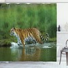 Wildlife Tiger Shower Curtain for Safari-Inspired Bathroom Decor