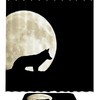 Wildlife Wolf and Moon Pattern Shower Curtain for Bathroom 