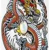 Wings Creature Dragon Shower Curtain Stable