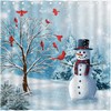 Winter Christmas Cardinal Birds Shower Curtain for a Charming Xmas Vintage Look