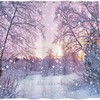 Winter Snowing Landscape Christmas Shower Curtain With Glitter Forest And Snowflake Bokeh By Allenjoy