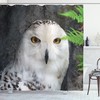Wizard Magician Shower Curtain with White Owl Pet Print for Bathroom 