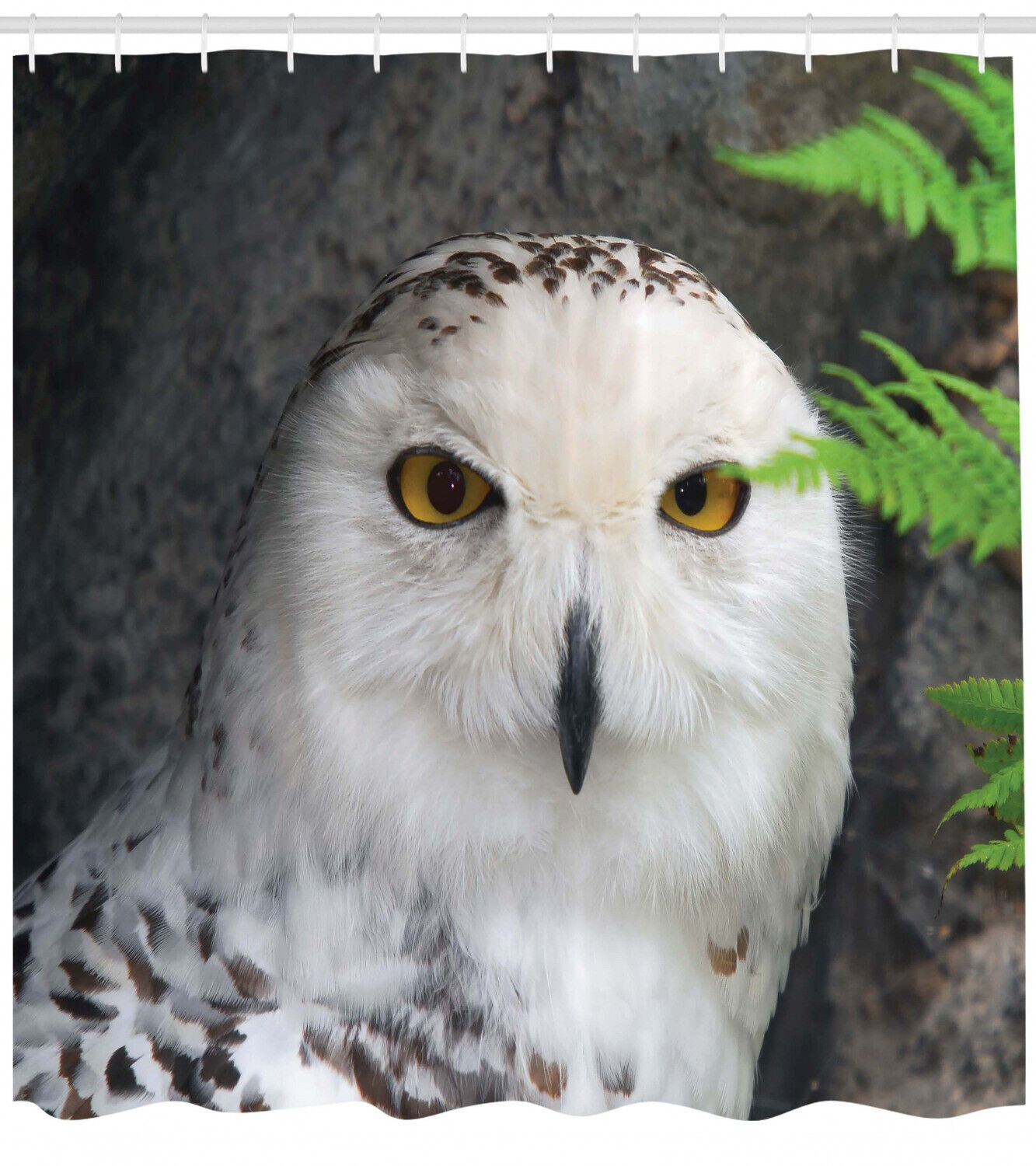 Wizard Magician Shower Curtain with White Owl Pet Print for Bathroom