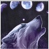 Wolf Moon Forest Shower Curtain with Fabric Print for Bathroom Decor 