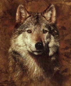 Wolf Shower Curtain - Majestic Bathroom Accessory