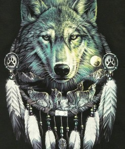 Wolf Wolves pack with Native American Indian Dreamcatcher Wall Hanging Wall Décor