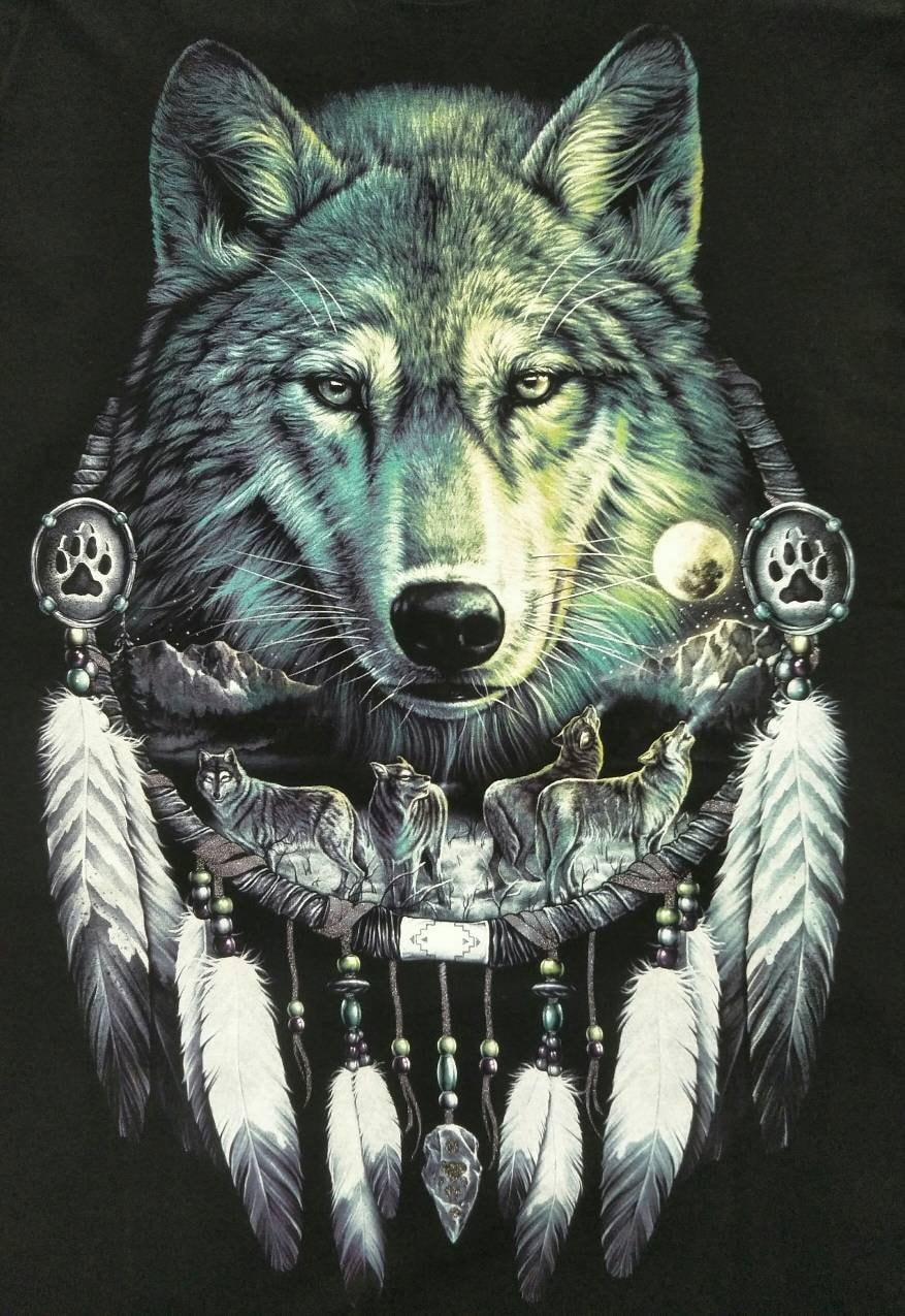 Wolf Wolves pack with Native American Indian Dreamcatcher Wall Hanging Wall Décor