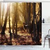 Yellow Brown Young Deer At Sunset Dutch National Park Outdoors Photo Shower Curtain