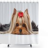 Yorkshire Terrier Love Dog Portrait Shower Curtain for Bathroom