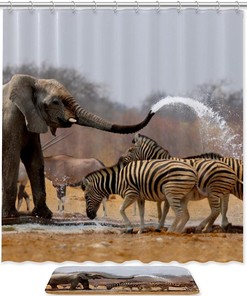 Zebra And Elephant Waterproof Shower Curtain, Colorful Bathroom Decoration
