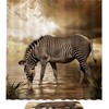 Zebra Drinking Water Decorative Shower Curtain, Waterproof Bathroom Decor