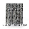Zebra Pattern Shower Curtain For A Chic And Wild Bathroom