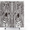 Zebra Print Illustration Pattern Print Fabric Shower Curtain for Unique Bathroom Decor