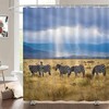 Zebra Print Shower Curtain for Bathroom, Modern Bath Decor, Hotel Quality Curtain 