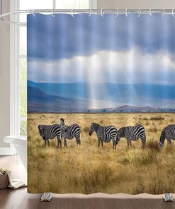 Zebra Print Shower Curtain for Bathroom, Modern Bath Decor, Hotel Quality Curtain 