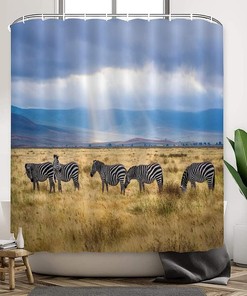 Zebra Print Shower Curtain for Bathroom, Modern Bath Decor, Hotel Quality Curtain
