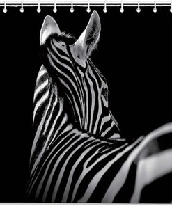 Zebra Print Simple Elegant Shower Curtain for Bathroom Decor