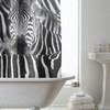 Zebra Shower Curtain For Safari Bathroom Decor