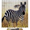 Zebra Shower Curtain With African Savanna Waterproof Fabric