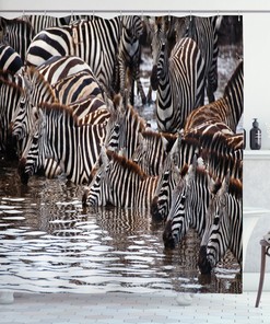 Zebras Drinking Water Shower Curtain - Wildlife Tanzania Decor