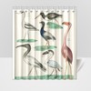 Zoology Birds Plate Animal Shower Curtain for Nature and Science Lovers