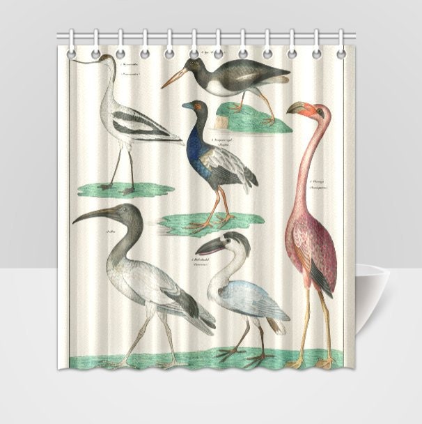 Zoology Birds Plate Animal Shower Curtain for Nature and Science Lovers